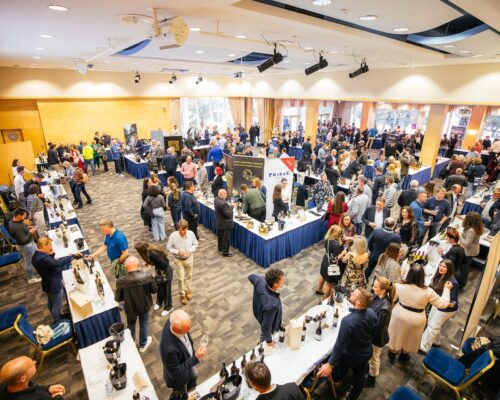 festival-malvazija-2025-foto-jakob-buzan-127