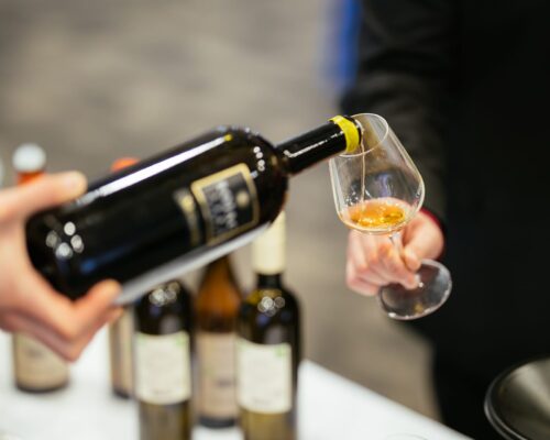 festival-malvazija-2025-foto-jakob-buzan-374