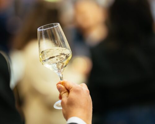 festival-malvazija-2025-foto-jakob-buzan-80